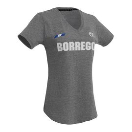 Playera Deportiva Borregos Flag - Gris, CF