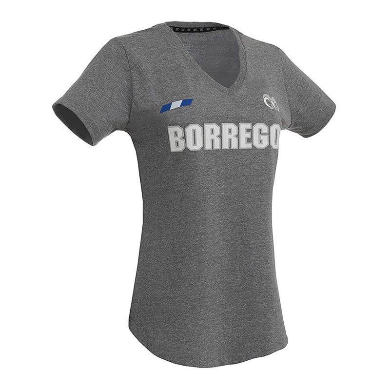 Playera-deportiva-Life-Style-BORREGOS-flag-CF-gris_1