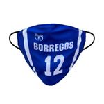 Kit-de-proteccion-Borregos-Jersey-2