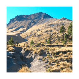 Campamento Integración Prepa Toluca