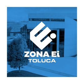 Mentoreo Emprendimiento Toluca