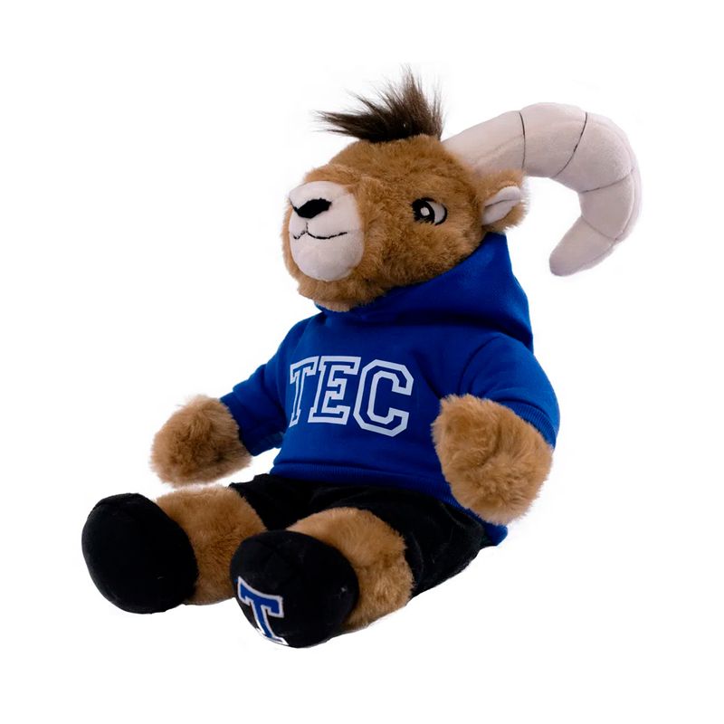 Borrego-de-peluche-TEUS-Sudadera-A
