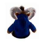 Borrego-de-peluche-TEUS-Sudadera-C
