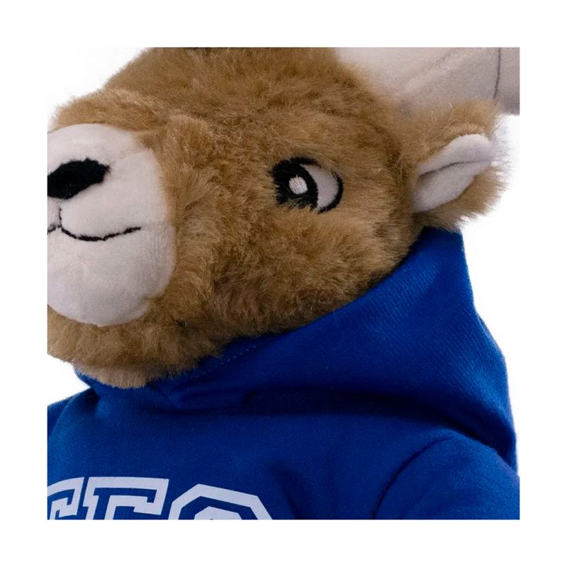 Borrego-de-peluche-TEUS-Sudadera-D