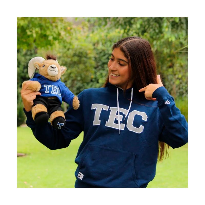 Borrego-de-peluche-TEUS-Sudadera-E