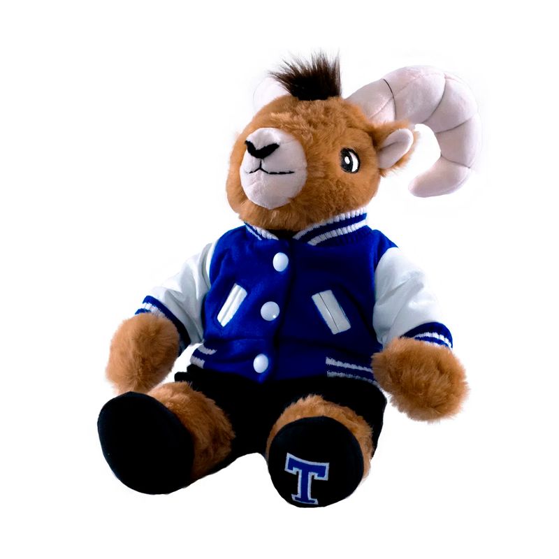 Borrego-de-peluche-TEUS-Chamarra-A