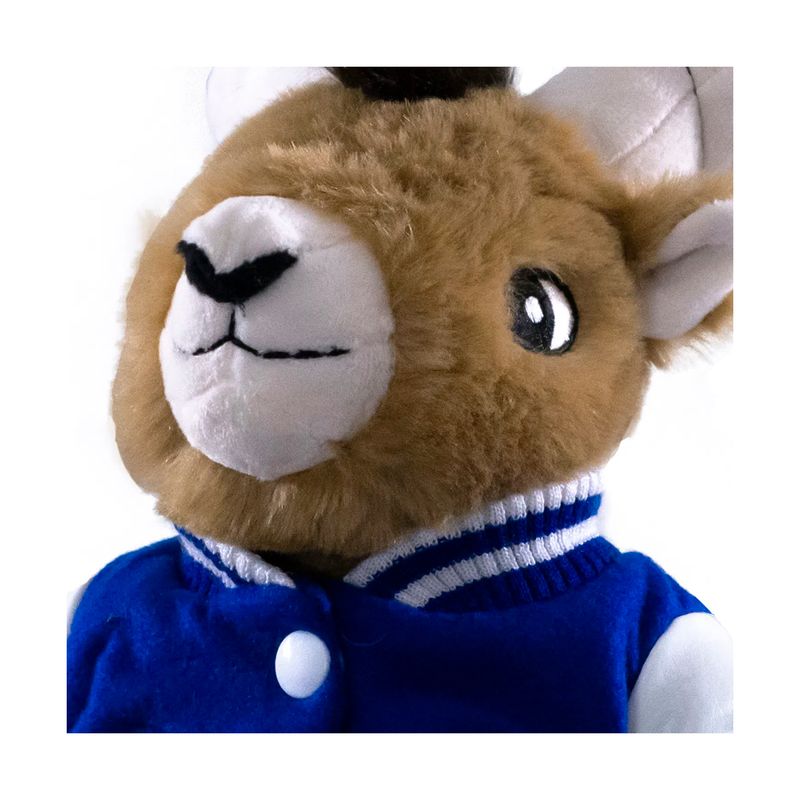 Borrego-de-peluche-TEUS-Chamarra-D