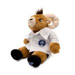 Borrego-de-peluche-TEUS-Doctor-A