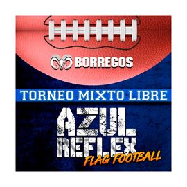 Torneo Azul Reflex Tochito