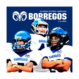 Academia Borregos