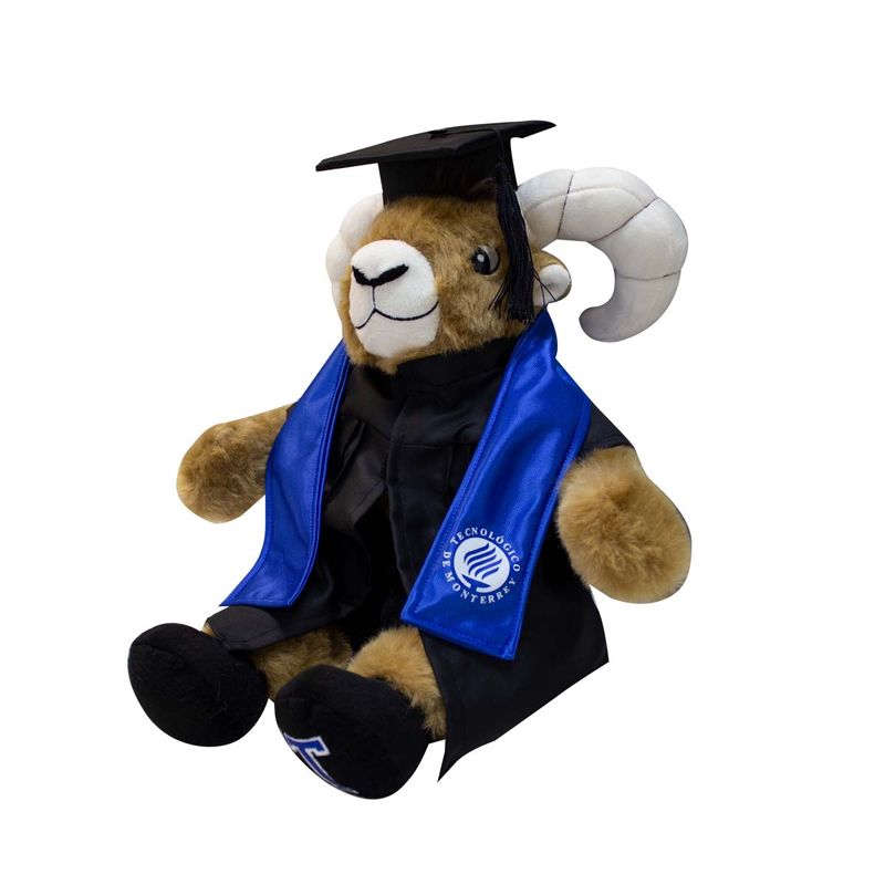 Teus-graduado-estola-azul_02