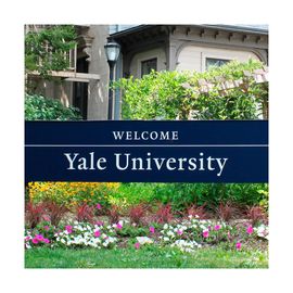 EGADE Programa Académico Internacional en Yale