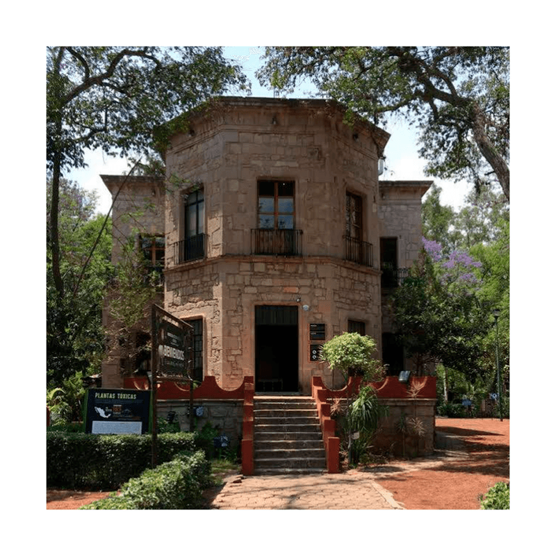 Viaje-al-Museo-de-Historia-Natural