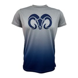 Playera Deportiva BORREGOS Degradada Jaspe CM, Azul