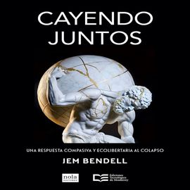 Libro Cayendo juntos