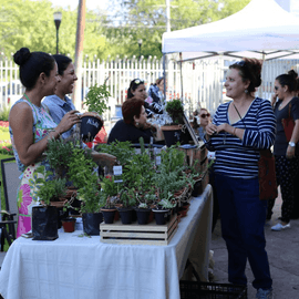 Participación en Callejero – distritotec