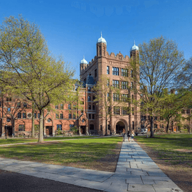Verano Internacional Yale